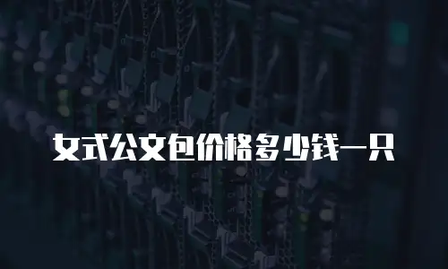 女式公文包价格多少钱一只