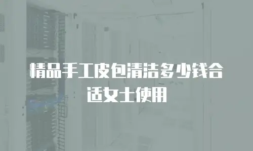 精品手工皮包清洁多少钱合适女士使用