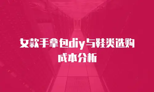 女款手拿包diy与鞋类选购成本分析