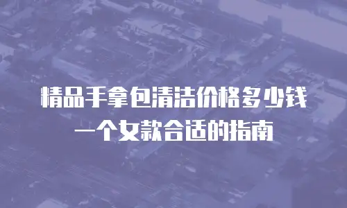 精品手拿包清洁价格多少钱一个女款合适的指南