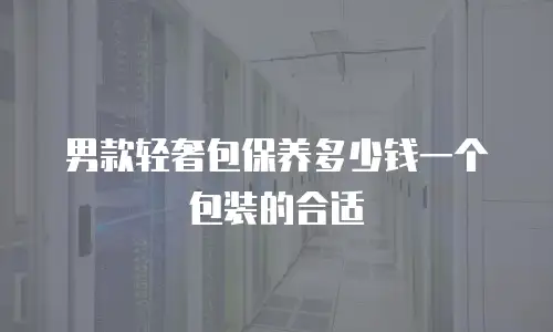 男款轻奢包保养多少钱一个包装的合适