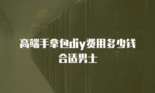 高端手拿包diy费用多少钱合适男士