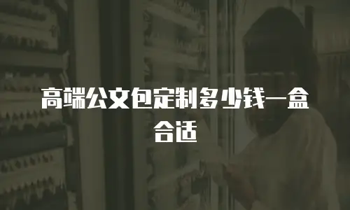 高端公文包定制多少钱一盒合适