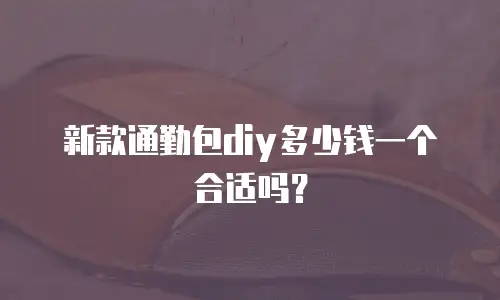 新款通勤包diy多少钱一个合适吗？