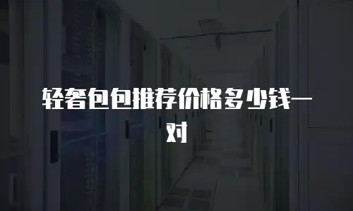 轻奢包包推荐价格多少钱一对