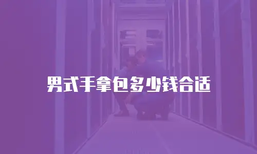 男式手拿包多少钱合适