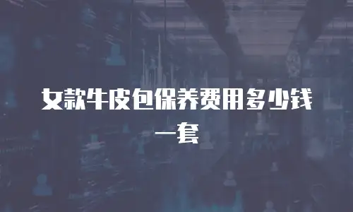 女款牛皮包保养费用多少钱一套