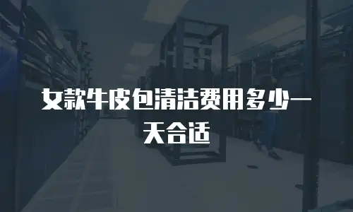 女款牛皮包清洁费用多少一天合适