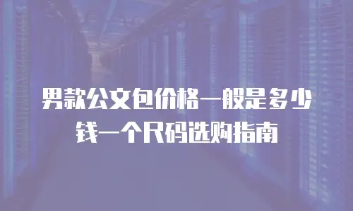 男款公文包价格一般是多少钱一个尺码选购指南