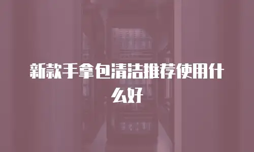 新款手拿包清洁推荐使用什么好