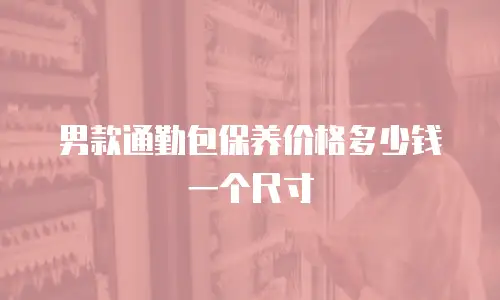 男款通勤包保养价格多少钱一个尺寸