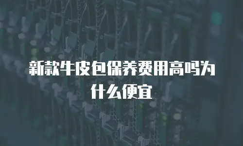 新款牛皮包保养费用高吗为什么便宜
