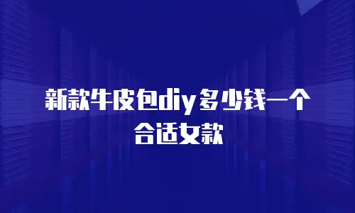 新款牛皮包diy多少钱一个合适女款
