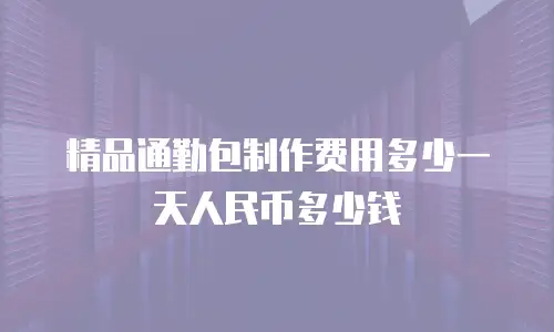精品通勤包制作费用多少一天人民币多少钱