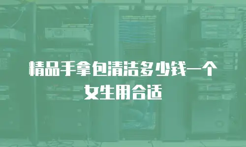 精品手拿包清洁多少钱一个女生用合适