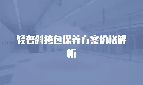 轻奢斜挎包保养方案价格解析