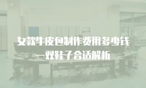 女款牛皮包制作费用多少钱一双鞋子合适解析