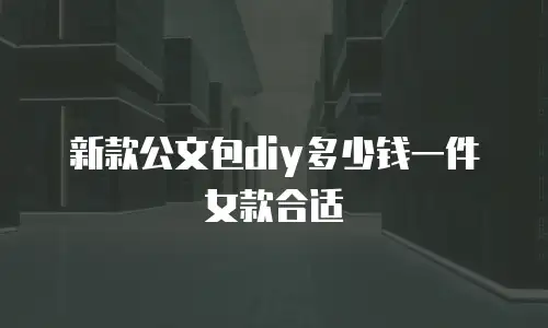 新款公文包diy多少钱一件女款合适