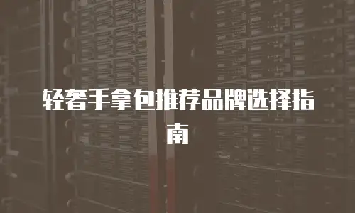 轻奢手拿包推荐品牌选择指南