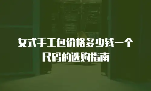 女式手工包价格多少钱一个尺码的选购指南