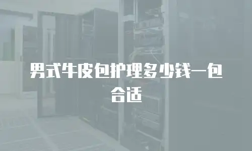 男式牛皮包护理多少钱一包合适