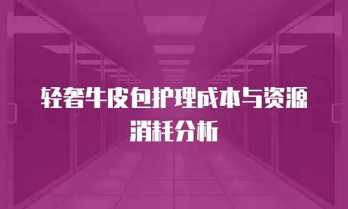 轻奢牛皮包护理成本与资源消耗分析