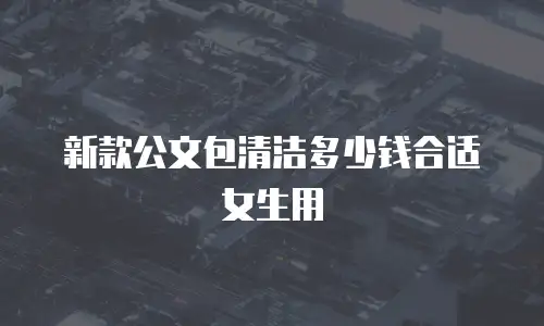 新款公文包清洁多少钱合适女生用