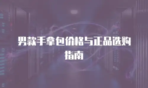 男款手拿包价格与正品选购指南