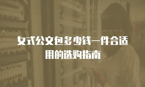 女式公文包多少钱一件合适用的选购指南