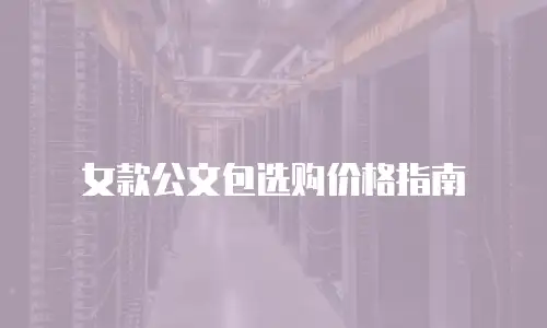 女款公文包选购价格指南