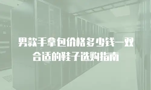 男款手拿包价格多少钱一双合适的鞋子选购指南