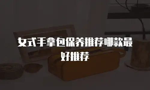 女式手拿包保养推荐哪款最好推荐