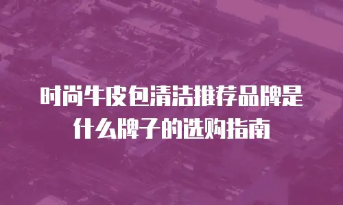时尚牛皮包清洁推荐品牌是什么牌子的选购指南