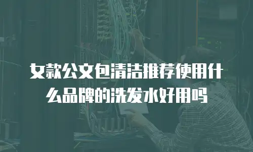 女款公文包清洁推荐使用什么品牌的洗发水好用吗