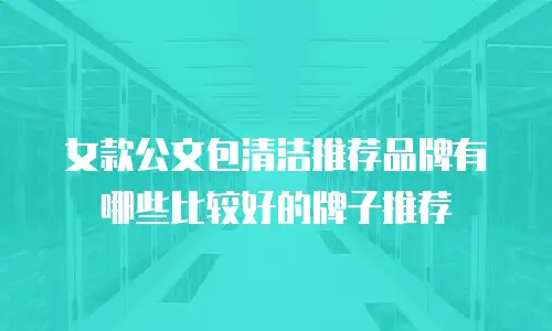 女款公文包清洁推荐品牌有哪些比较好的牌子推荐