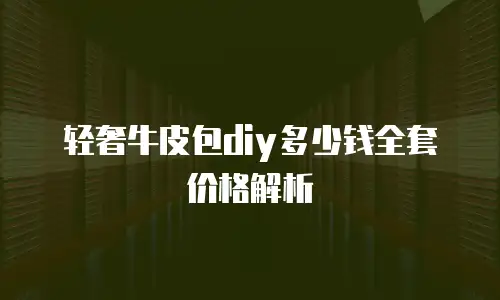 轻奢牛皮包diy多少钱全套价格解析