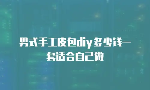 男式手工皮包diy多少钱一套适合自己做