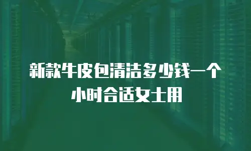 新款牛皮包清洁多少钱一个小时合适女士用