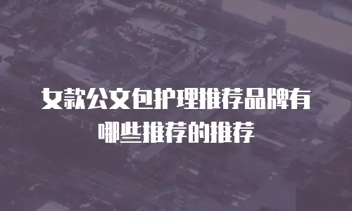 女款公文包护理推荐品牌有哪些推荐的推荐
