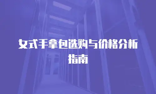 女式手拿包选购与价格分析指南