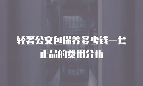 轻奢公文包保养多少钱一套正品的费用分析