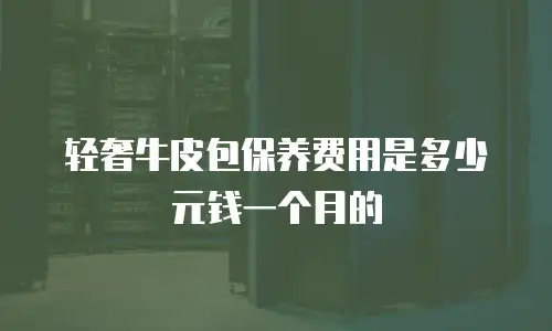 轻奢牛皮包保养费用是多少元钱一个月的