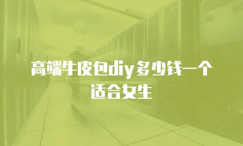 高端牛皮包diy多少钱一个适合女生