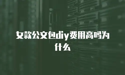 女款公文包diy费用高吗为什么