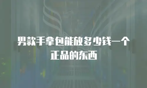 男款手拿包能放多少钱一个正品的东西