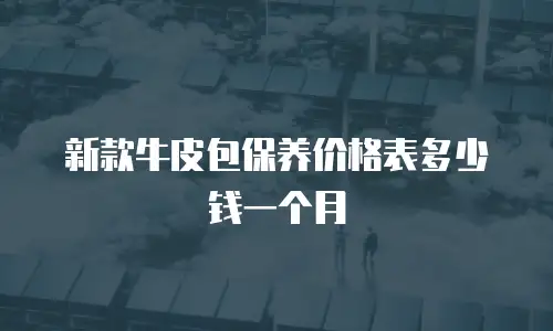 新款牛皮包保养价格表多少钱一个月