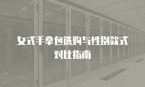 女式手拿包选购与性别款式对比指南