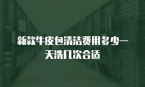 新款牛皮包清洁费用多少一天洗几次合适