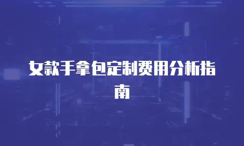 女款手拿包定制费用分析指南