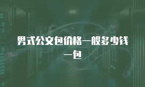 男式公文包价格一般多少钱一包